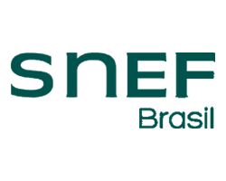 Logo Snef Brasil